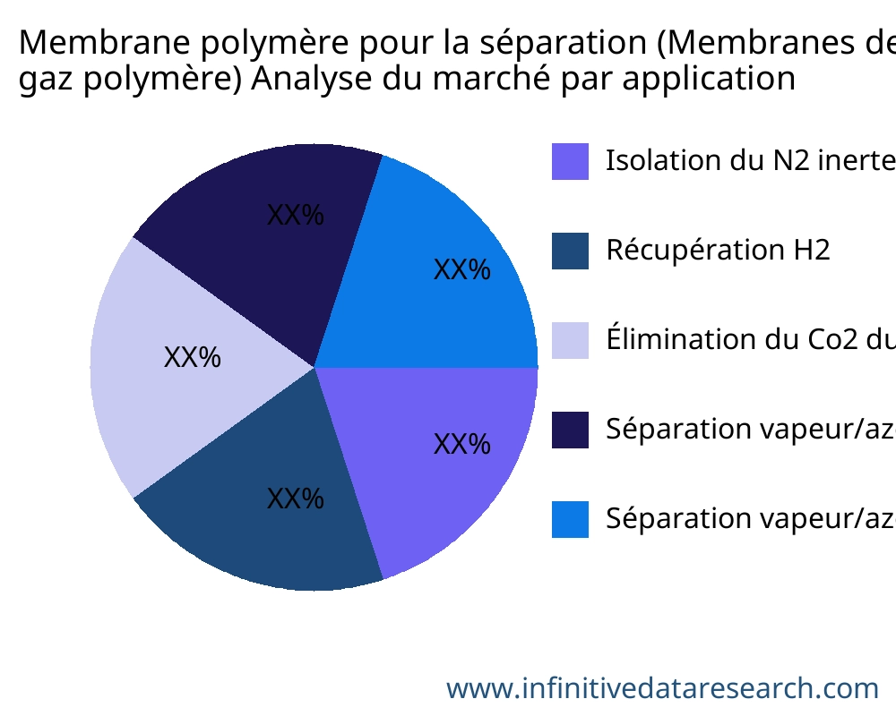 Membrane polymère pour la séparation (Membranes de séparation de gaz ; Membrane de séparation de gaz polymère) marché par application - Infinitive Data Research