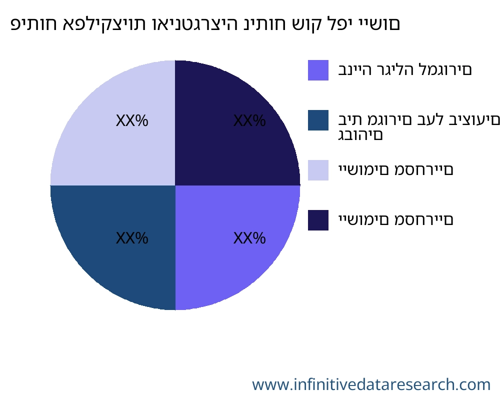 פיתוח אפליקציות ואינטגרציה שוק לפי יישום - Infinitive Data Research