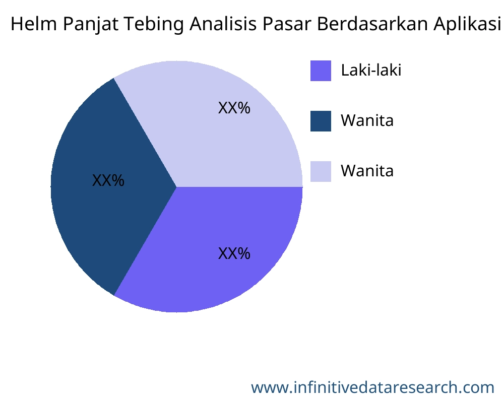 Helm Panjat Tebing pasar menurut aplikasi - Infinitive Data Research