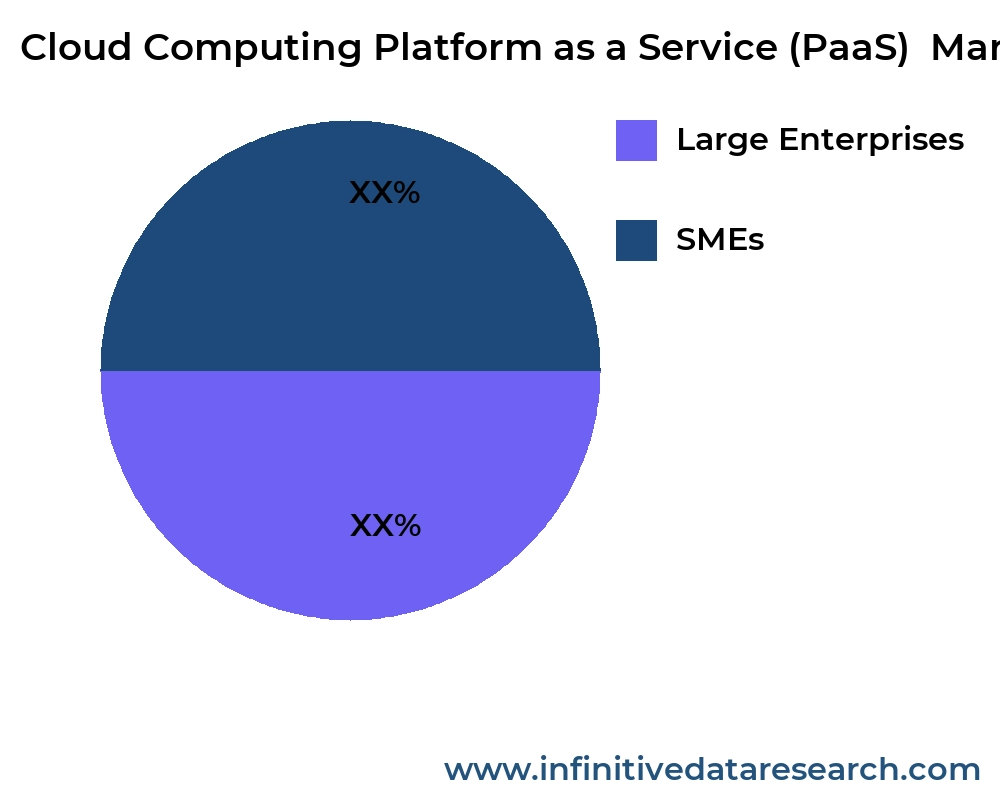 Cloud Computing Platform as a Service (PaaS)  market by application - Infinitive Data Research