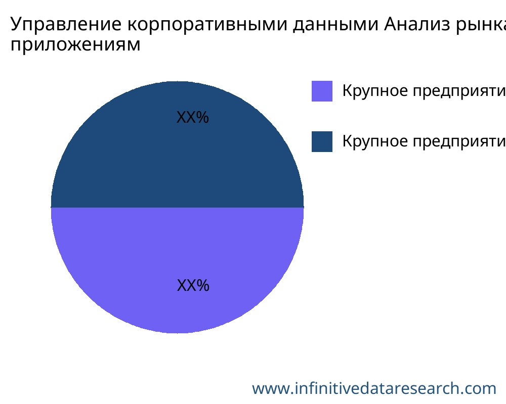 Управление корпоративными данными рынок по применению - Infinitive Data Research